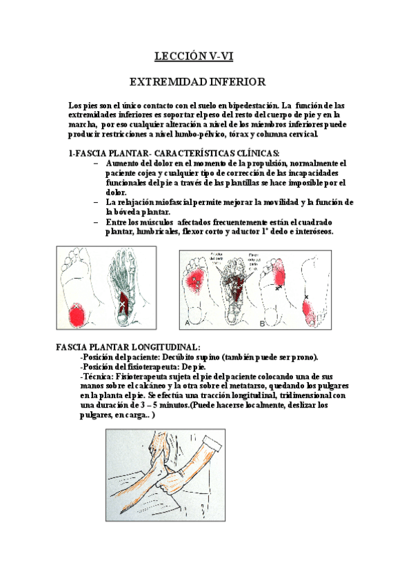 Miniatura del documento LECCION-5-Y-6.pdf