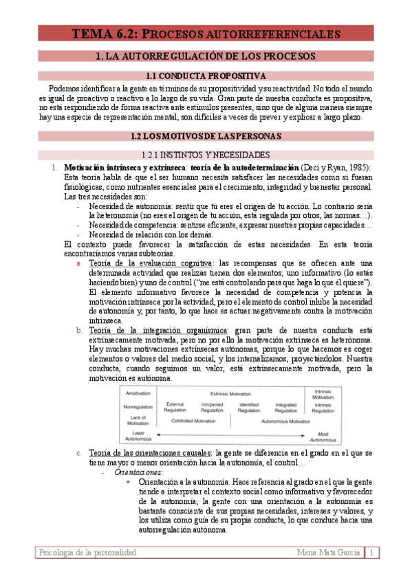 Miniatura del documento Tema 6.2 Procesos autorreferenciales (P).pdf