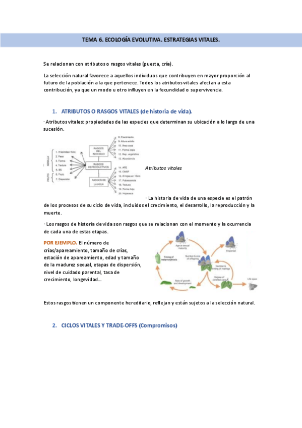 Miniatura del documento tema-6.-ecopob.pdf