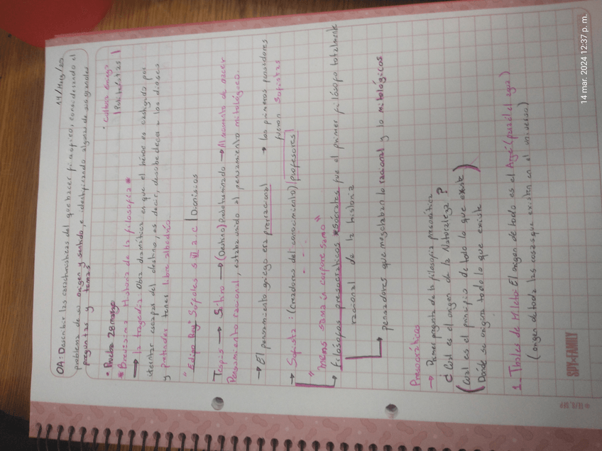 Miniatura del documento 17104306178637127605963581626743.jpg