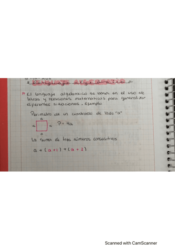 Miniatura del documento lenguaje-algebraico.pdf