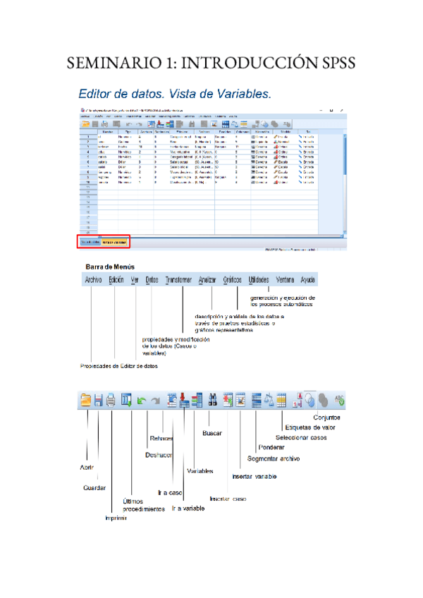 Miniatura del documento Apuntes-seminarios-bioestadistica.pdf