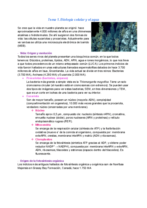 Miniatura del documento Bioquimica-y-biotecnologia-1er-parcial.pdf