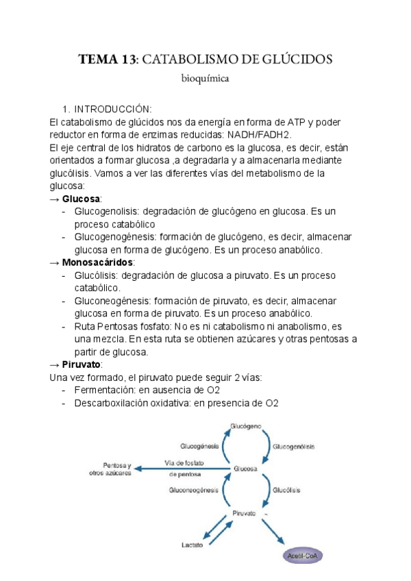 Miniatura del documento Apuntes-2ndo-parcial-bioquimica.pdf