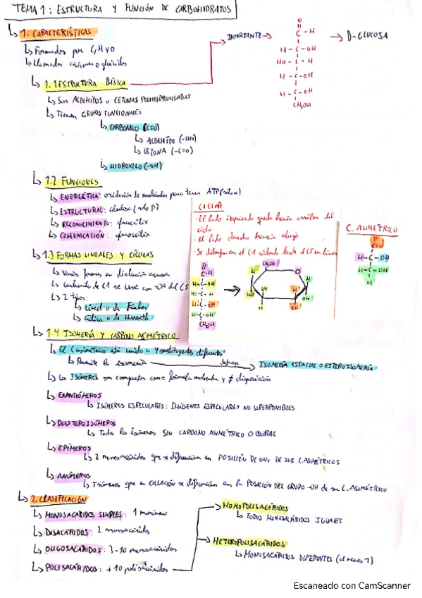 Miniatura del documento Bioquimica-basica-temario.pdf