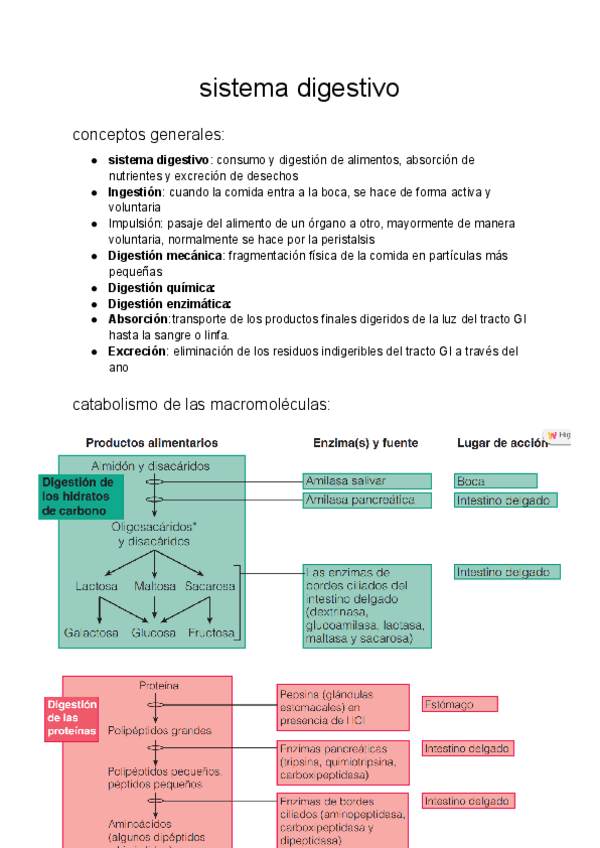 Miniatura del documento sistema-digestivo..pdf