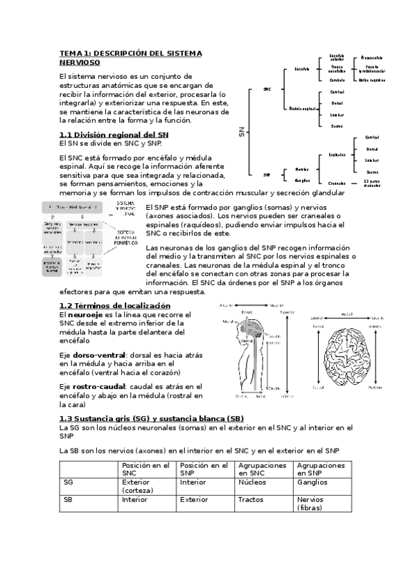 Miniatura del documento temas-psicobio-II-1er-parcial.docx