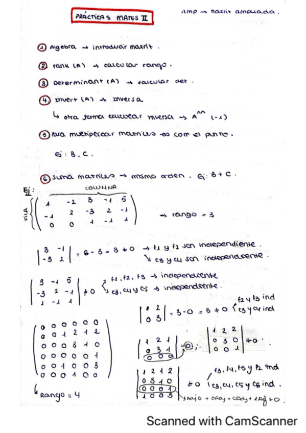 Miniatura del documento Practica.pdf