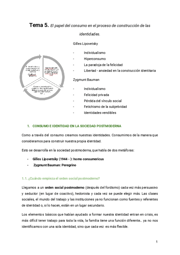 Miniatura del documento Tema-5.-El-papel-del-consumo-en-el-proceso-de-construccion-de-las-identidades.pdf