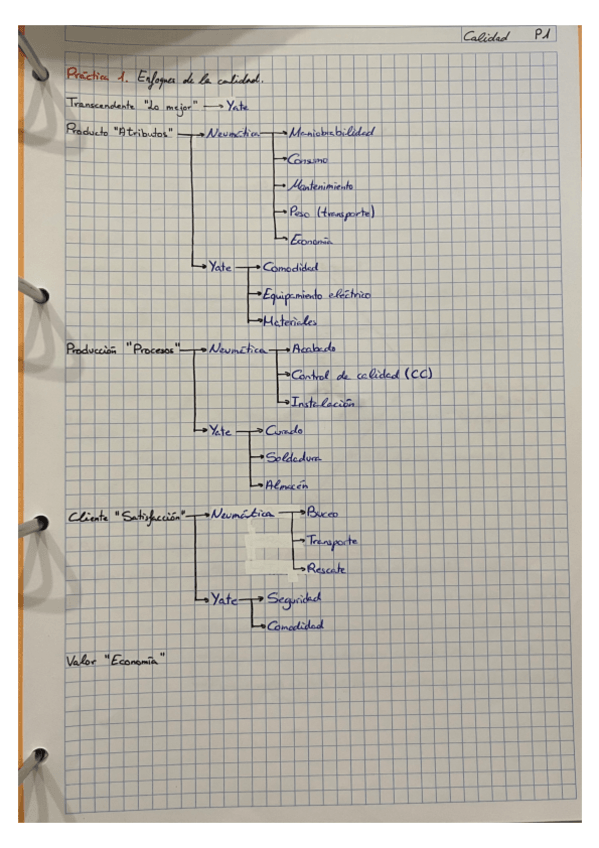 Miniatura del documento Practicas-de-calidad.pdf