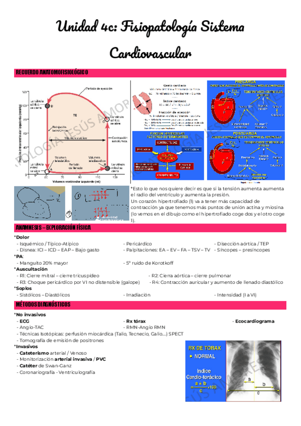 Miniatura del documento Unidad-4c-Fisiopatologia-Sistema-Cardiovascular.pdf