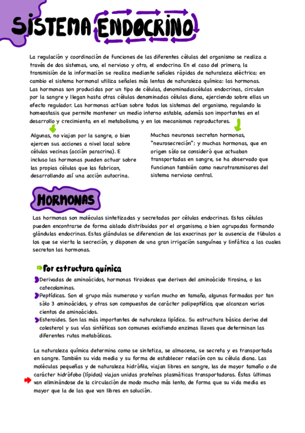 Miniatura del documento sistema-endocrino.pdf