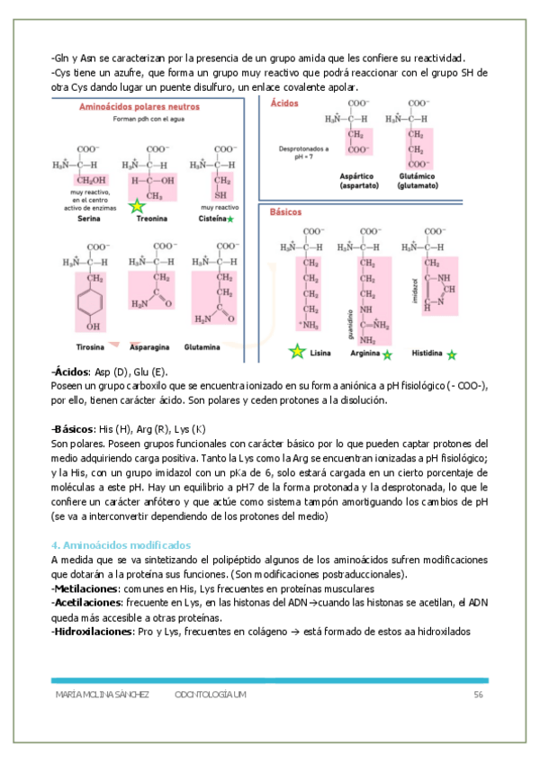 Miniatura del documento P2- Bioquimica-y-biologia-molecular.pdf