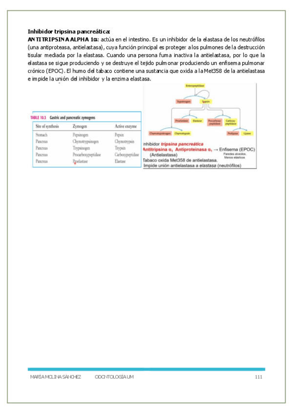 Miniatura del documento P3- Bioquimica-y-biologia-molecular.pdf
