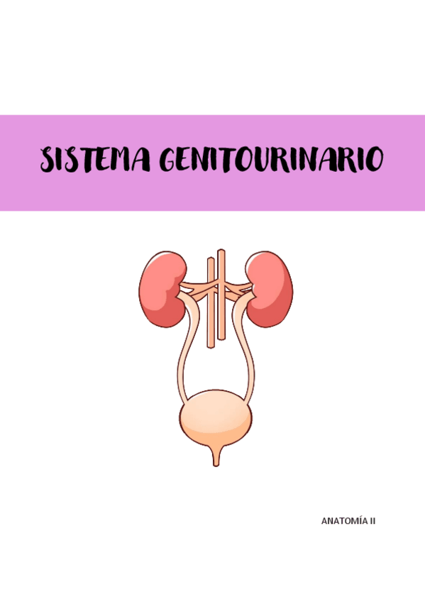Miniatura del documento SISTEMA-GENITOURINARIO.pdf