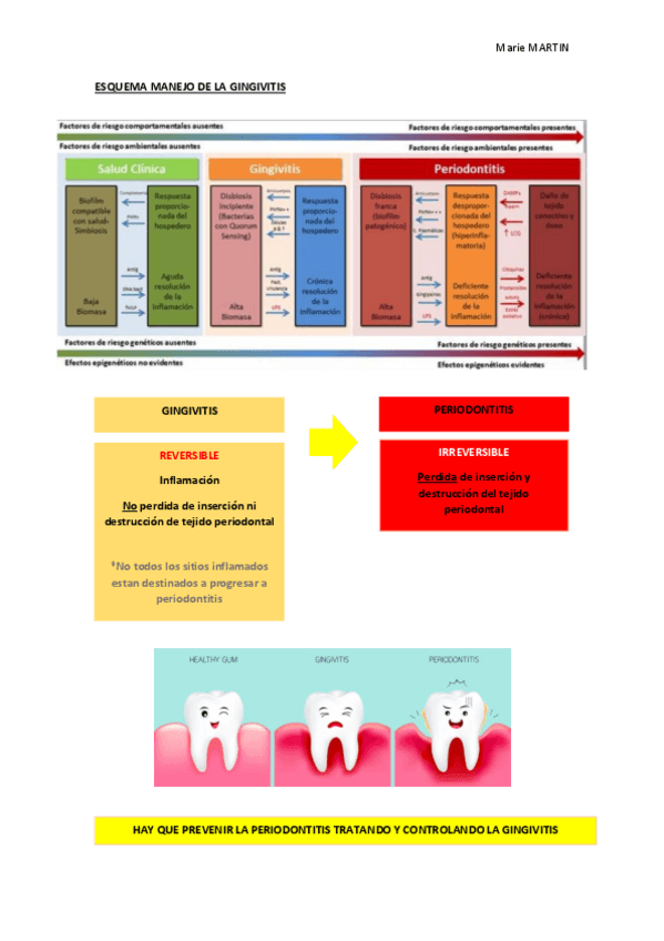 Miniatura del documento ESQUEMA-MANEJO-gingivitis.pdf