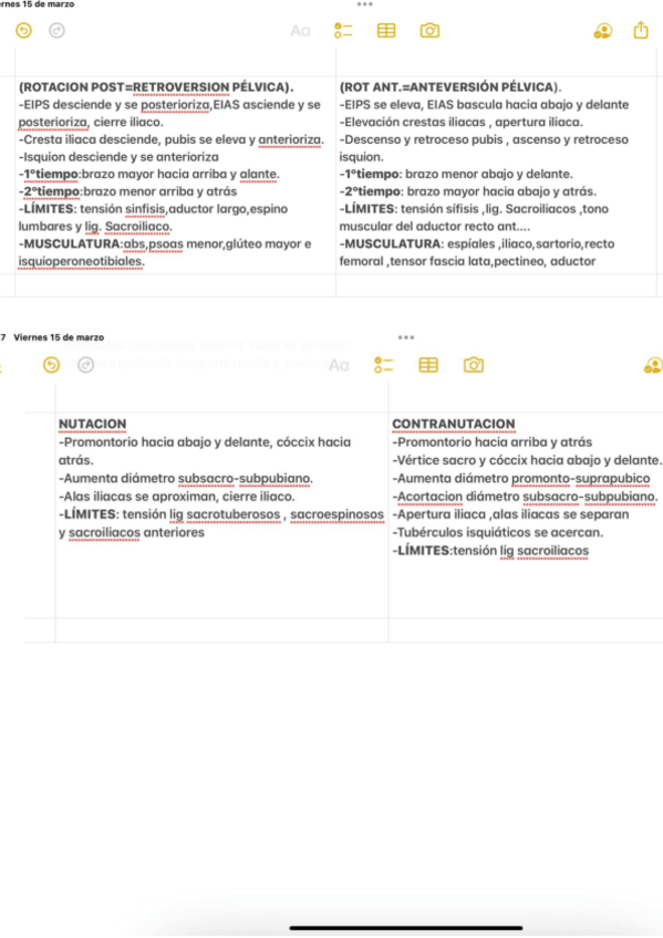 Miniatura del documento mov-pelvis-corregida.pdf