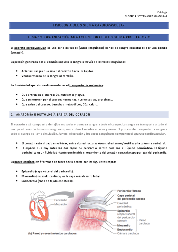 Miniatura del documento Fisiologia-13-14-y-15-B4.pdf