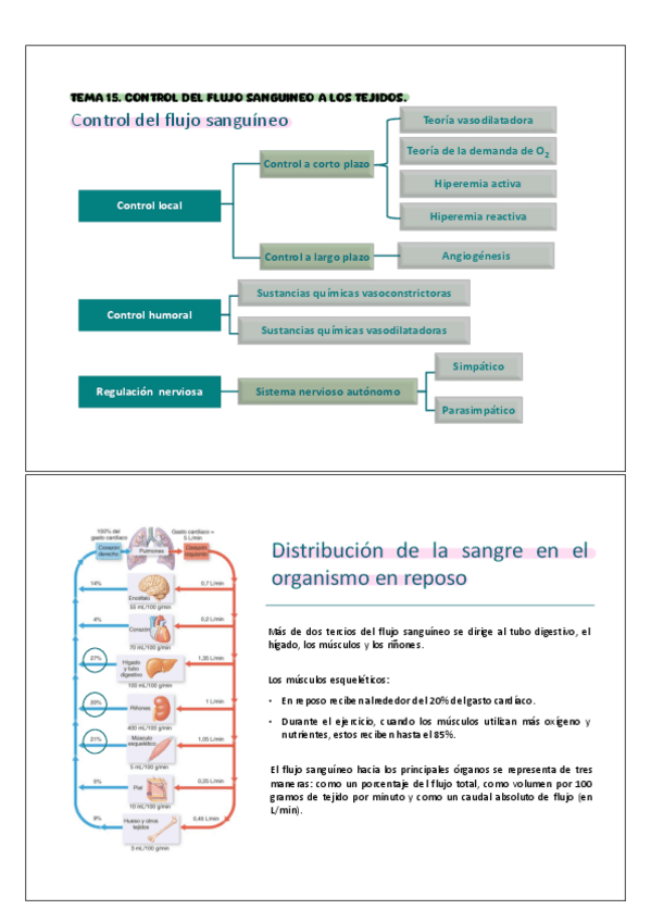 Miniatura del documento T15.pdf