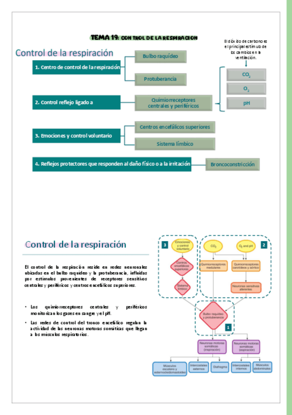 Miniatura del documento T19.pdf