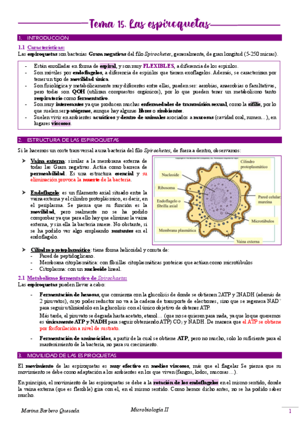 Miniatura del documento Tema-15.-Las-espiroquetas.pdf