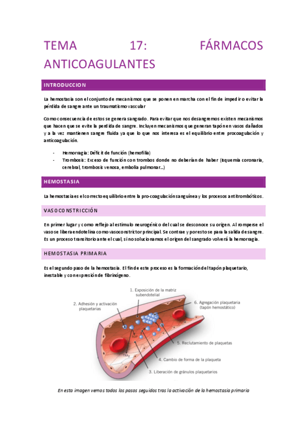 Miniatura del documento Farmacologia-2o-TEMA-17-ANTICOAGULANTES.pdf