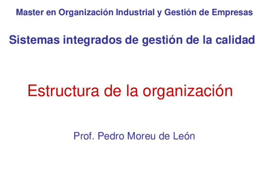 Miniatura del documento Estructura-de-la-organizacion.pdf