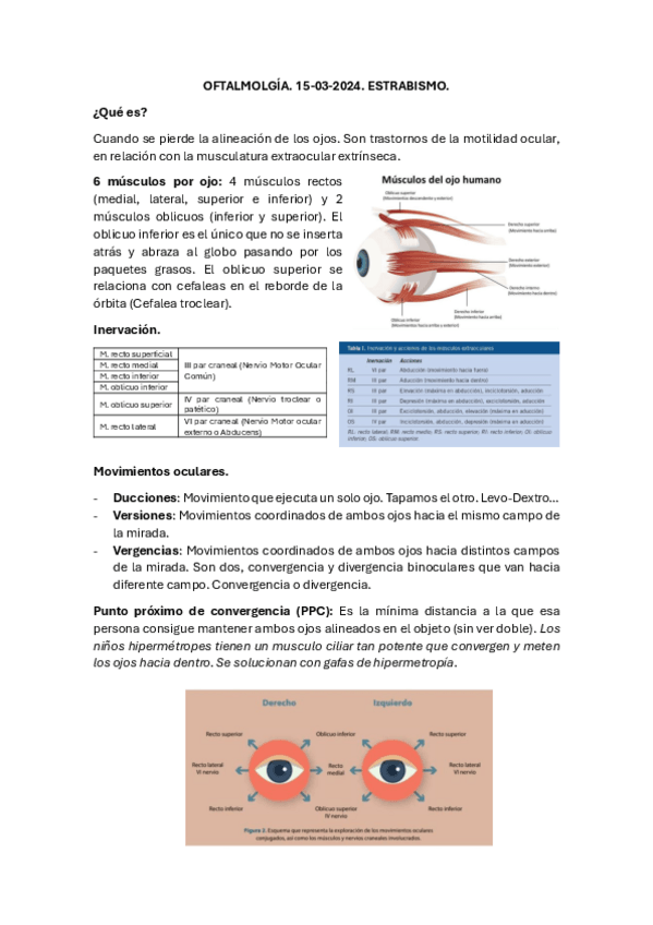 Miniatura del documento Estrabismo.pdf