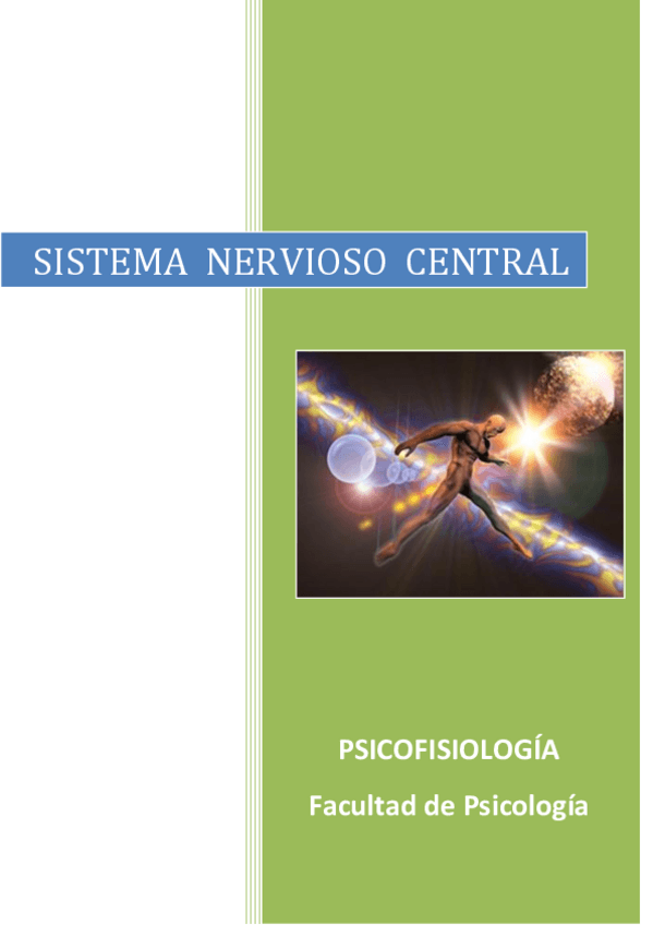 Miniatura del documento Cerebro-1.pdf