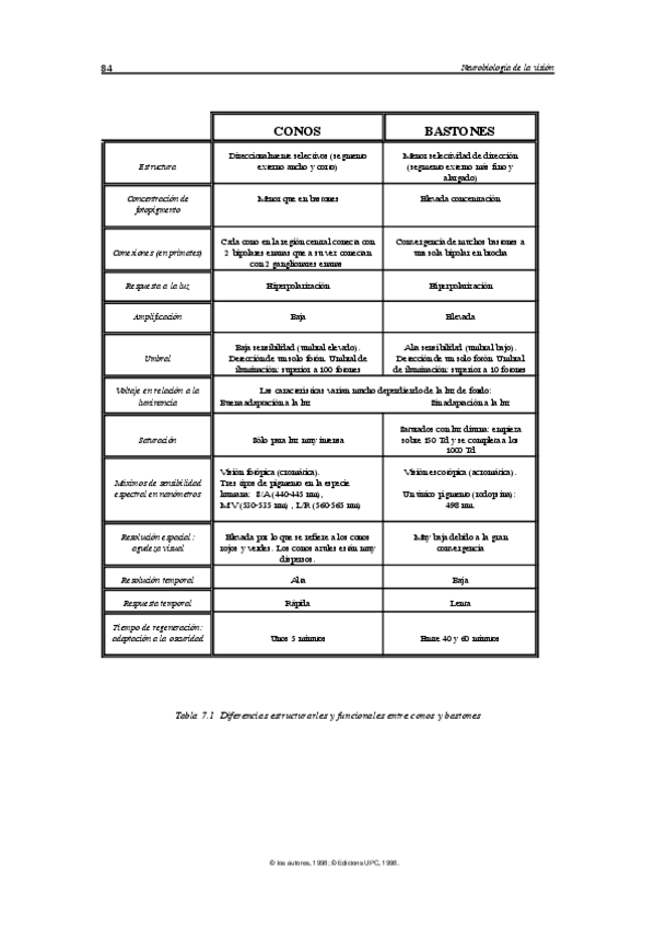 Miniatura del documento Conosybastones.pdf
