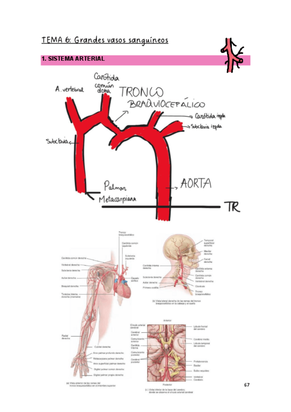 Miniatura del documento T.6-EYFCHII.pdf