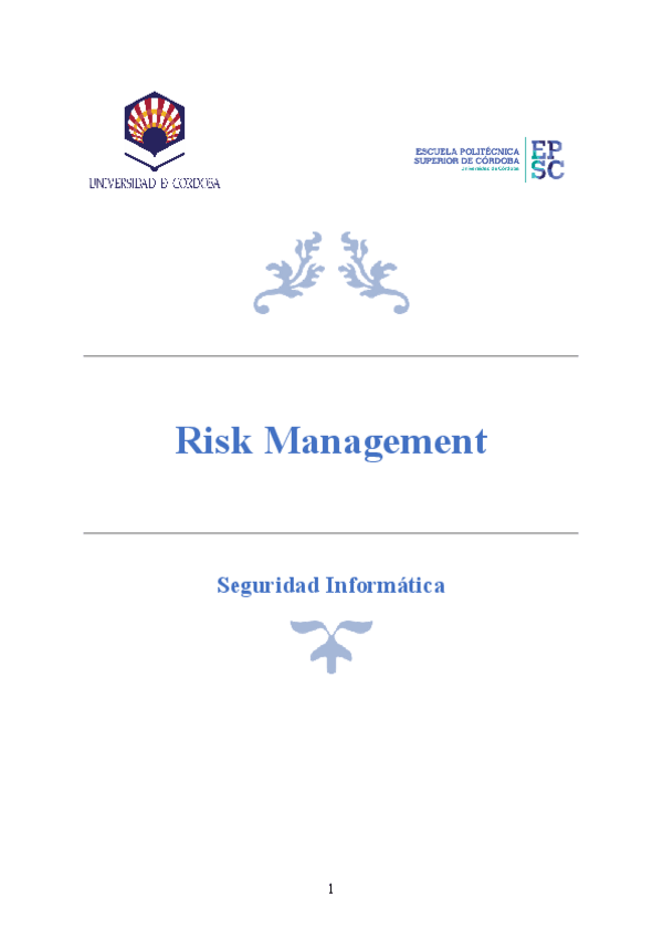 Miniatura del documento Risk-Management.pdf