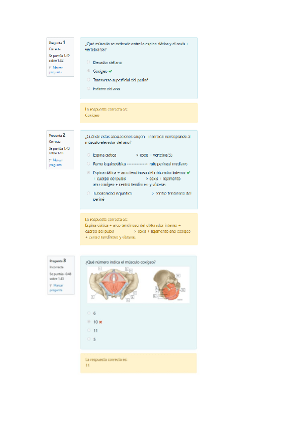 Miniatura del documento Trabajo-individual-2-Cuestionario-Tema-14-Musculos-Pelvicos.pdf
