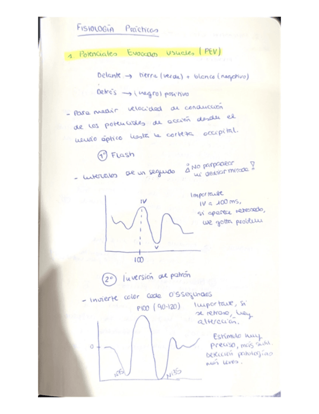 Miniatura del documento Resumen-Esencial-Practicas.pdf