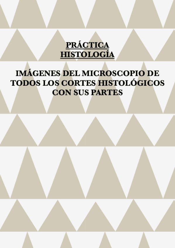 Miniatura del documento Practica-Histologia-Imagenes-Con-Nombres.pdf