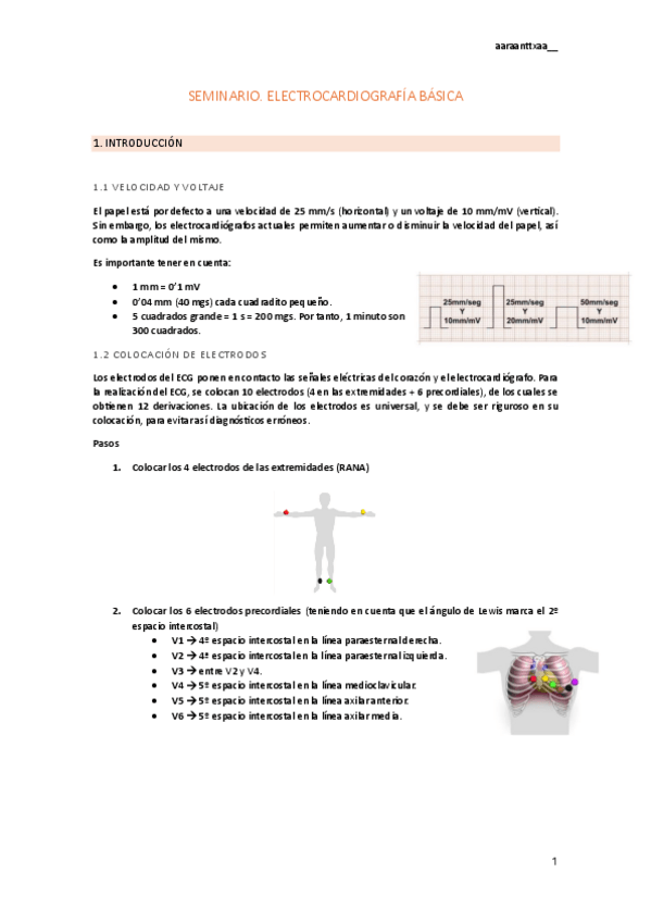 Miniatura del documento seminarios.pdf