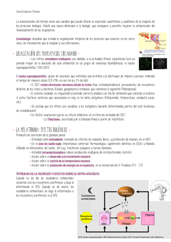 Miniatura del documento TEMA-9-PARTE-3-FISIOLOGIA.pdf