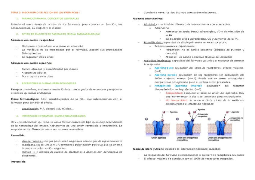 Miniatura del documento TEMA-3-FARMA.pdf