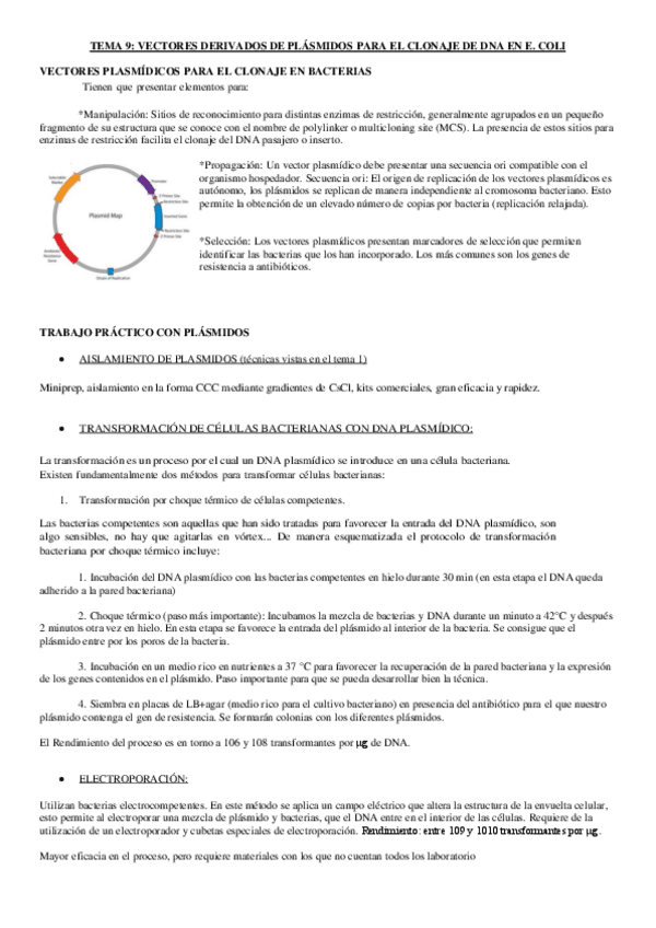 Miniatura del documento tema 9.-vectores derivados de plasmidos.pdf