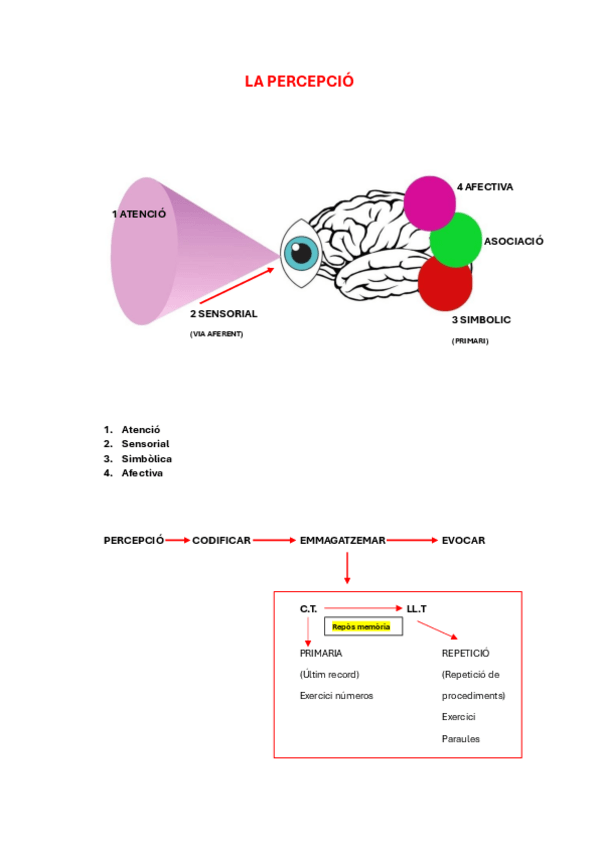 Miniatura del documento La-Percepcio.pdf