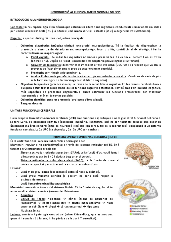 Miniatura del documento INTRODUCCIO-AL-FUNCIONAMENT-NORMAL-DEL-SNC.pdf