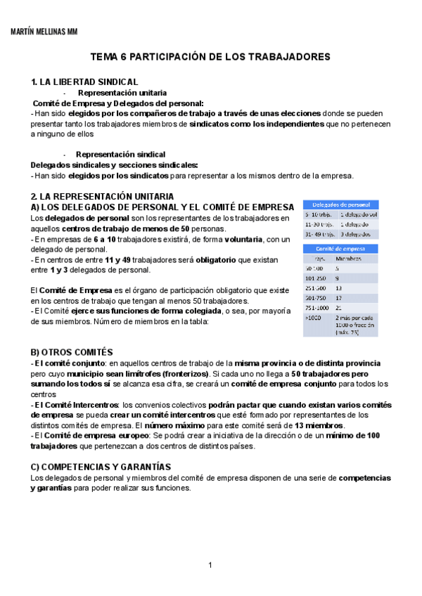 Miniatura del documento FOL-TEMA-6-PARTICIPACION-DE-LOS-TRABAJADORES-MM.pdf
