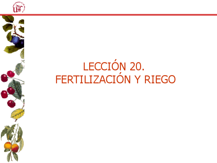 Miniatura del documento Leccion-20.-Fertilizacion-y-riego.pdf