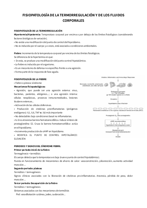 Miniatura del documento Patologia-termorregulacion-y-fluidos-1.pdf