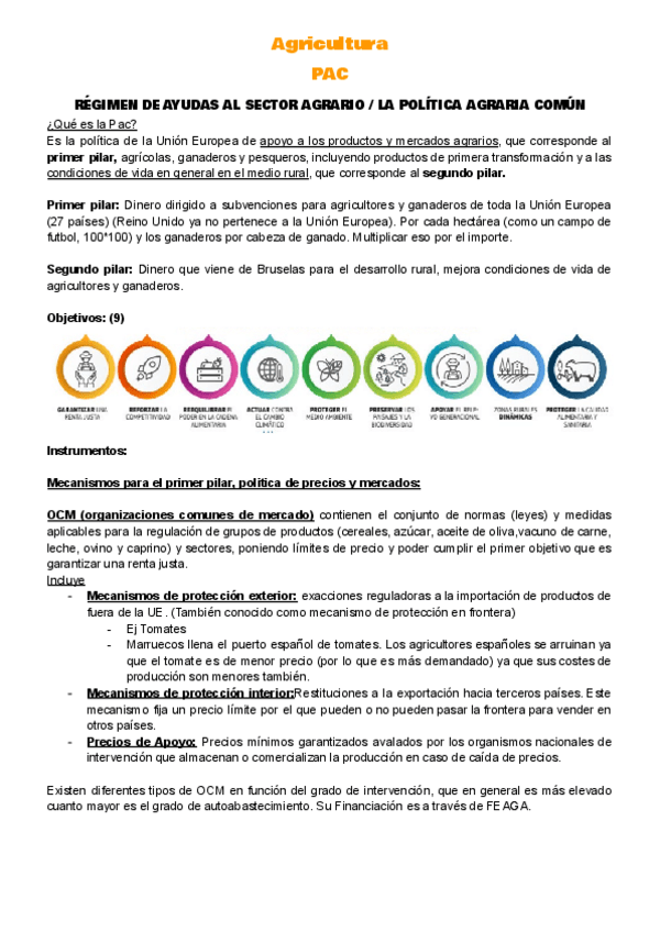 Miniatura del documento PAC.pdf