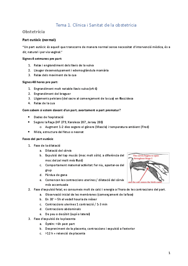 Miniatura del documento Resumets.pdf