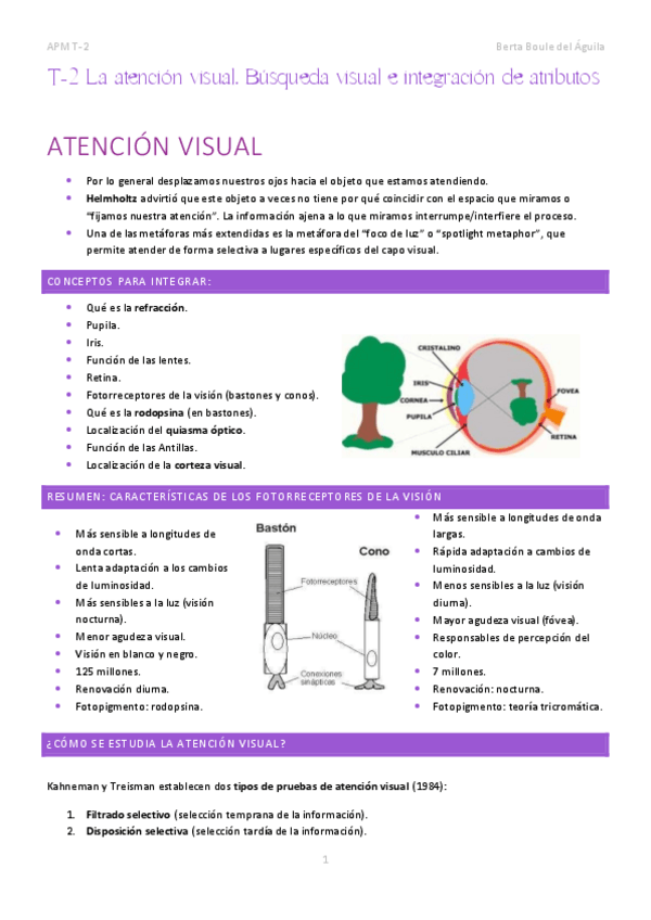 Miniatura del documento T-2-La-atencion-visual.-Busqueda-visual-e-integracion-de-atributos.pdf