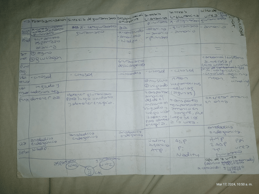 Miniatura del documento 8.jpg