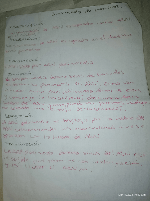 Miniatura del documento 9.jpg