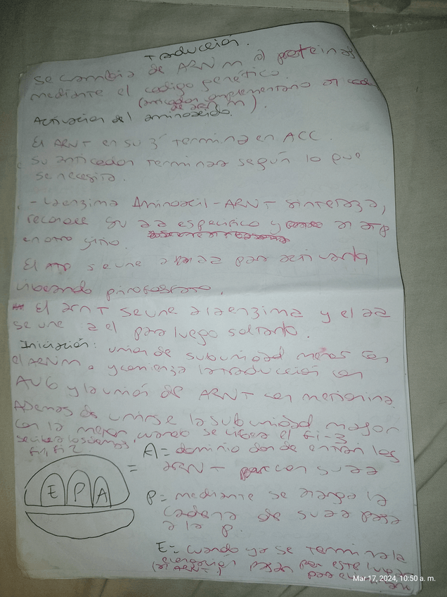 Miniatura del documento 11.jpg